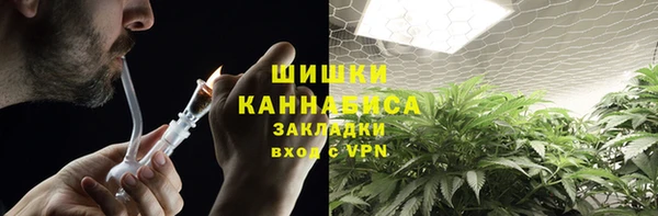 стаф Кукмор