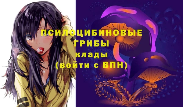 стаф Кукмор