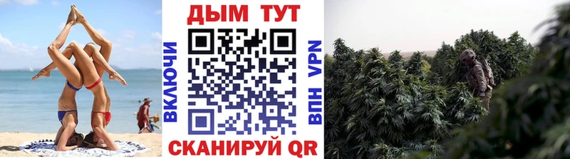 Купить где Белогорск Каннабис индика